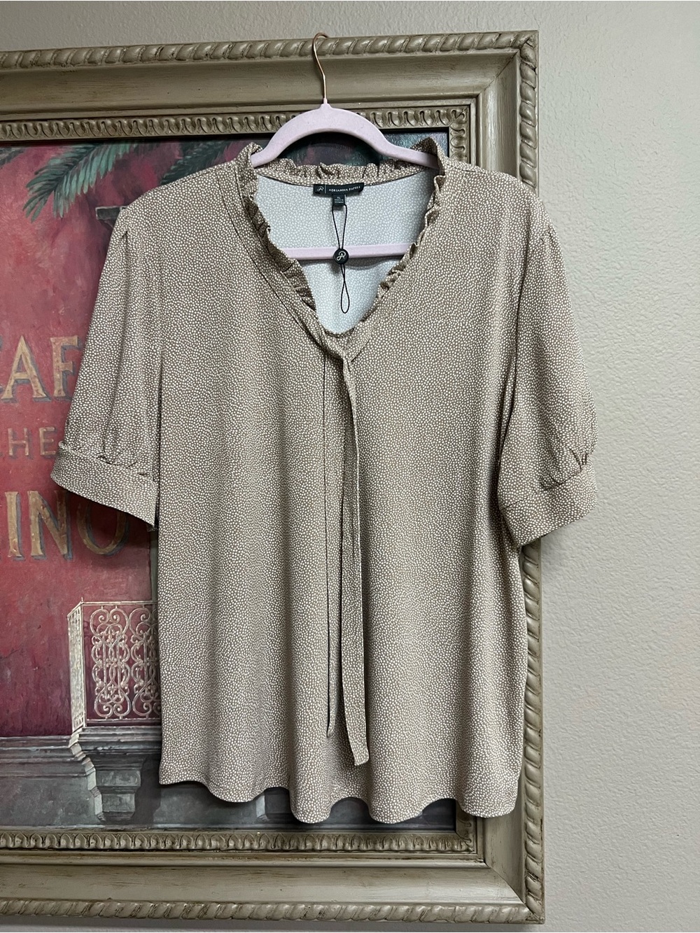 Adrianna Papell Taupe Tie-Neck Short Sleeve Blouse